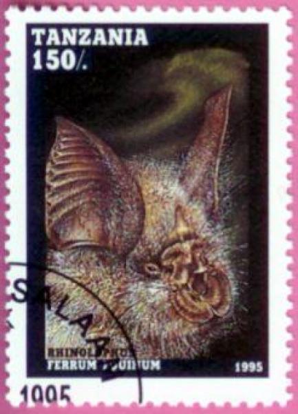 Fledermaus Briefmarke 6